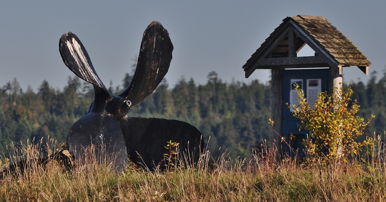 propeller